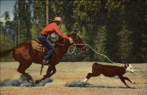 Calf Roping In The Southwest Cowboy Western picture