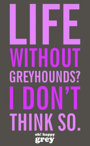 No really, life without a hound is so boring!!! But be warned if you ...