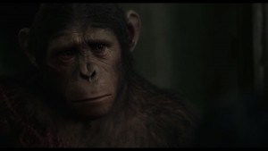 ... Gallery For Dawn Of The Planet Of The Apes Caesar And Blue Eyes