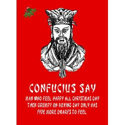 funny_confucius_saying_christmas_greeting_cards_p.jpg?height=250&width ...