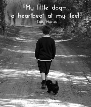 Cool Quotes That Will Make You Appreciate Your Pets