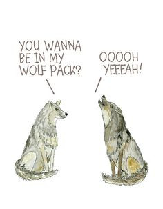 Wolf Pack Hangover Quotes Wolf pack, the hangover quote,