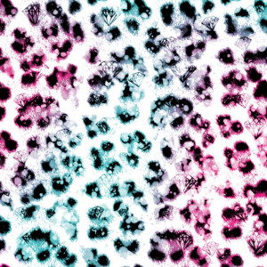 Rainbow Cheetah Print Diamond Layout Picture