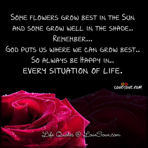 Some flowers grow best in the Sun