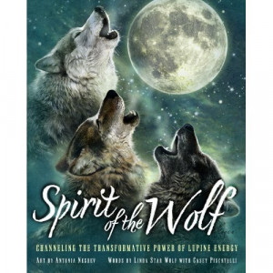 the wolf with Shamanism, authors (and mother/son team) Linda Star Wolf ...