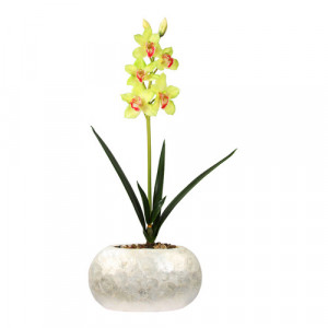 Floral Arrangements with Orchids