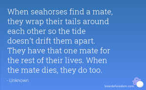 When seahorses find a mate, they wrap their tails around each other so ...