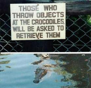funny crocodile sign - those who throw objects at the crocodiles will ...