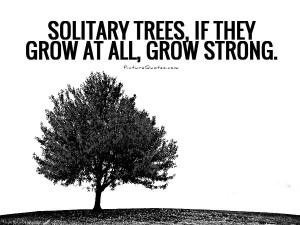 Nature Quotes Strong Quotes Tree Quotes Winston Churchill Quotes