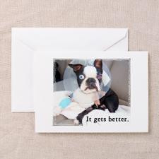Get Well Soon Greeting Cards (Pk of 10) for