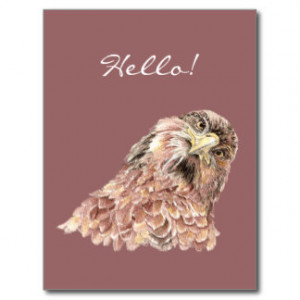 Cute Bird Saying Hi, Hello, Funny Animal Post Card