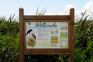 ... colonial georgia daily life who leave their living in colonial