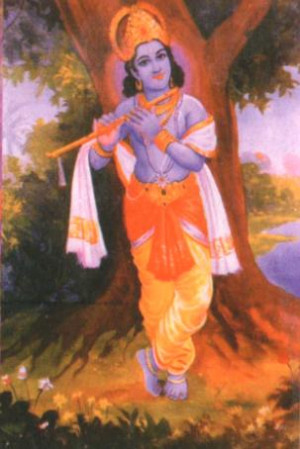 Krishna Avatharam