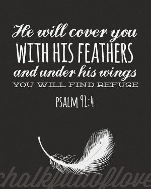 ... & under his wings you will find refuge. – Psalm 91:4 Bible Verse