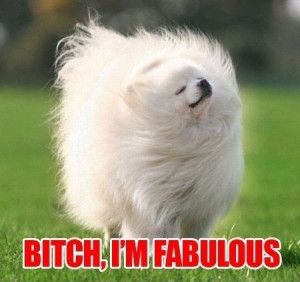 Bitch I’m fabulous