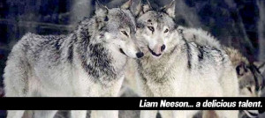 Liam Neeson to Battle Wolves in The Grey