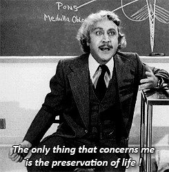 gene wilder young frankenstein get ready i giffed so many parts of ...