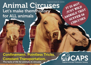 Circus Animal Abuse Quotes