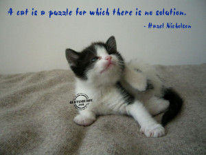 Animal Quotes Graphics, Pictures