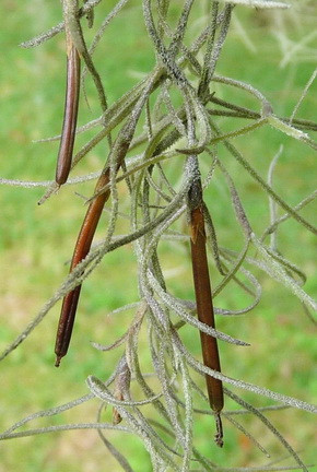 Funny Quotes Contact Dmca