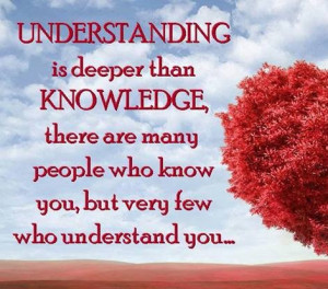 Understanding Is Deeper Than Knowledge