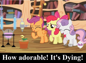 Then imagine the potted plant is the Brony Community.