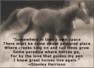 horses eyes horse quotes