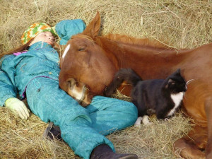Horses Soothe Kids with Autism