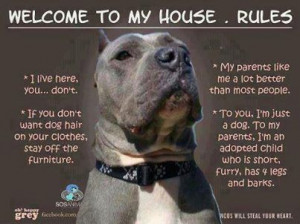 Welcome to my house. Dog rules.