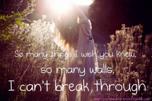 Love Quote : So many things that I wish you knew.