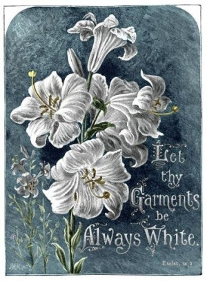 Famous bible quotes, meaningful, deep, sayings, white