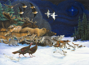 ... wild animal park merry christmas to all the christmas wild animals