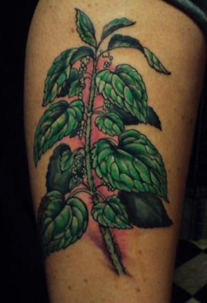 Shawn Hebrank Minnesota Tattoo Artist Out Of This Nettle Danger