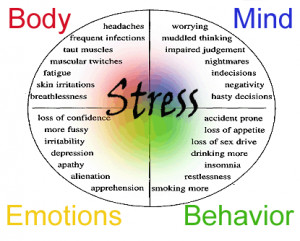 the effects of stress over a long period of time