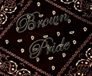 Brown Pride Image Graphic Code
