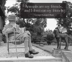 Životinje su moji prijatelji… a ja ne jedem svoje prijatelje ...