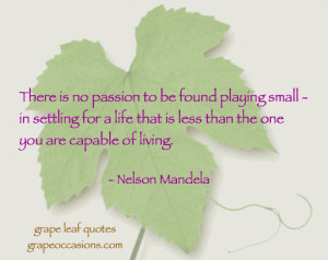 Grape Leaf Quote: There is no passion to be found playing small…