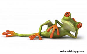 Funny Frog Wallpaper Desktop Backgrounds Free