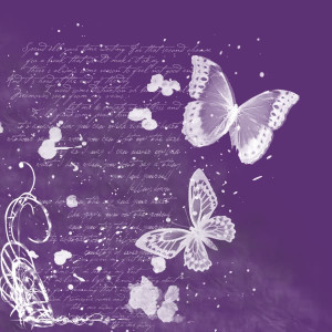 Purple butterflies Image