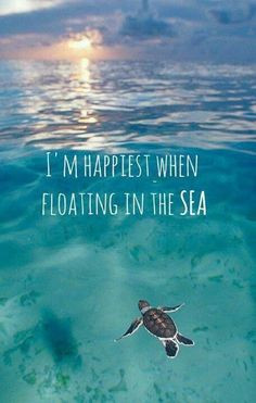 Sea & Ocean Quotes