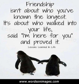 Rare friendship quotes