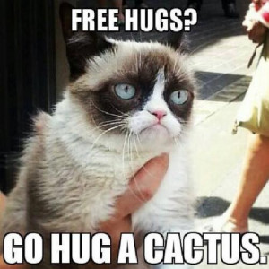 Free Hugs? Cat Meme