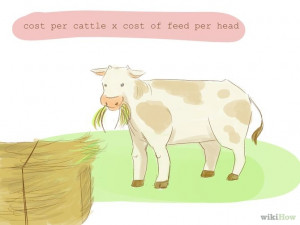 Calculate the Cost of Starting a Dairy Farm Step 2.jpg