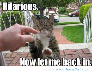 funny animals, funny cat, kitty, kitty sayings, let me back in