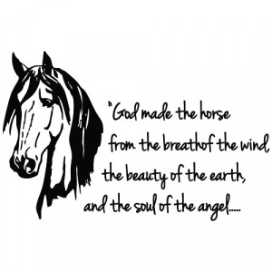 beautiful horse quotes