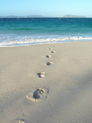 Footprints Quote The Day