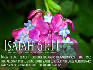 Bible Verses On GOD's Love Isaiah 61:11 Flower HD Wallpaper