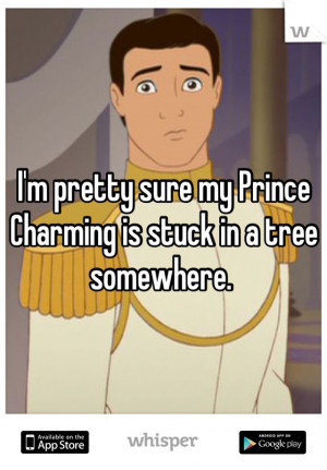Related Pictures Life Prince Charming Love Pretty Quotes