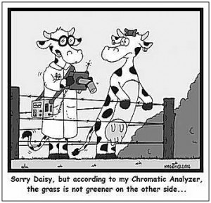 Oh, we humans! We are soooooo predictably irrational. We keep making ...