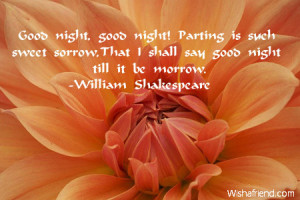 Funny Goodnight Quotesjpg Picture